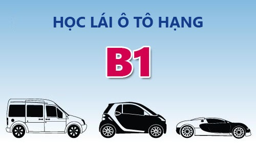 Học lái xe ô tô bằng b1  Học lái xe ô tô bằng b1